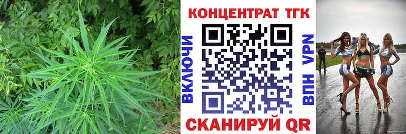 Купить закладки  Вихоревка  Дистиллят ТГК THC oil 