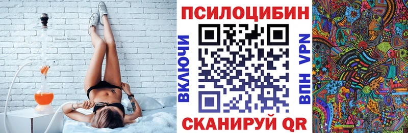 Купить закладки  Вихоревка  Галлюциногенные грибы прущие грибы 